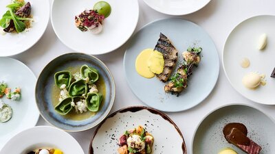 A selection of plated fine-dining dishes.