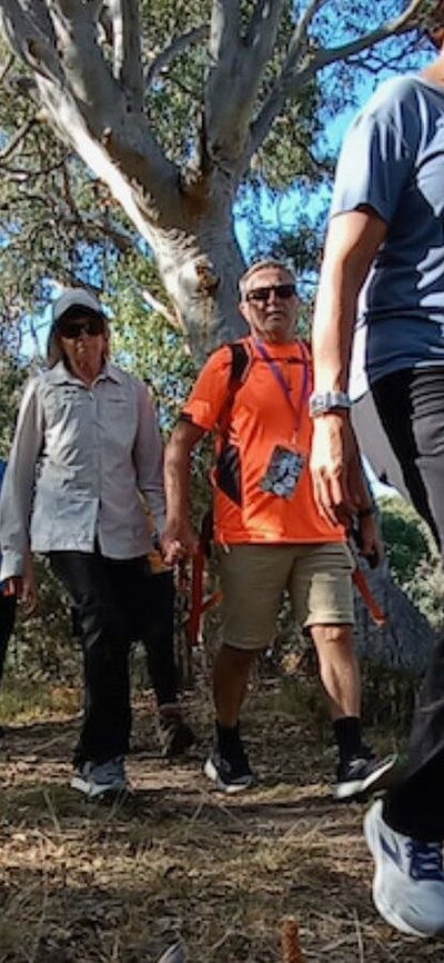 a group of people walking through the bush