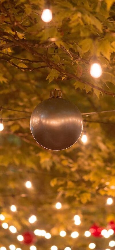 Christmas lights and baubles hanging off trees.