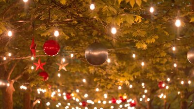 Christmas lights and baubles hanging off trees.