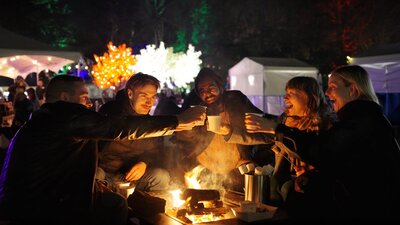Fire Pit Garden Group of friends cheering with mulled wine around fire pit