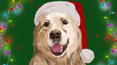 Christmas paws party