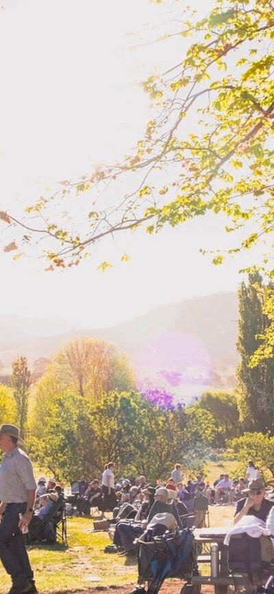 Audience at Lanyon Homestead enjoying a concert