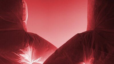 Gavin Bradstreet, Circle Jerk 2025, mixed media, dimensions variable Red image of 2 soft sculptures which look like human figures