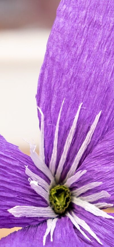 Crepe Paper native flower from workshop