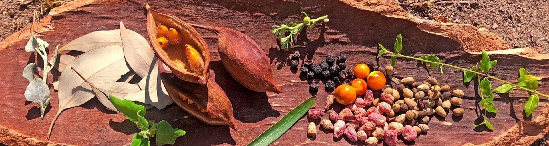 Cultural Connections - Winter in the Woods