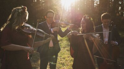 The four musicians of the Grevillea Quartet play together in a grassy setting with trees and sun.