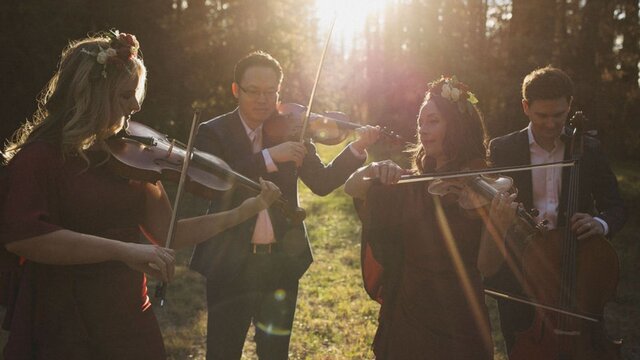 The four musicians of the Grevillea Quartet play together in a grassy setting with trees and sun.