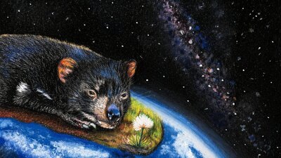 "The Devils in the Details" by Elizabeth Dau A Tasmanian Devil facing loss and disease gazes ahead as a lone flower offers hope for survival.