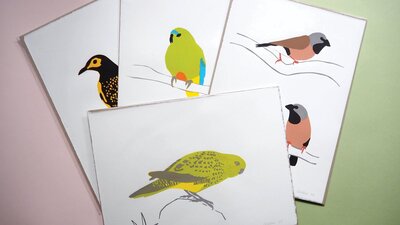 Greta Cooper, Endangered Bird originals