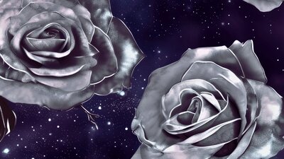 Roses in a galaxy Pattern