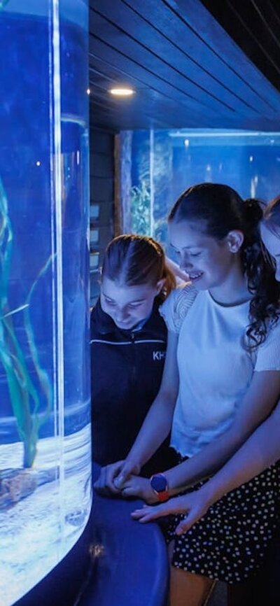 Aquarium