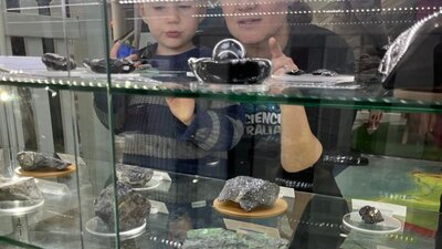 Child and parent look at specimens of Geoscience Australia's National Fossil and Mineral Collection