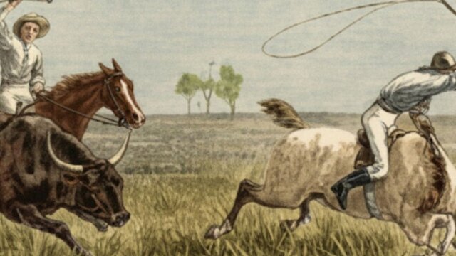 The Queenslander ‘Cutting Out’ A Fat Beast, from Notes on Queensland, April 1894. An illustration of men on buffalos with whips