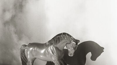 A black and white image of a toy horse