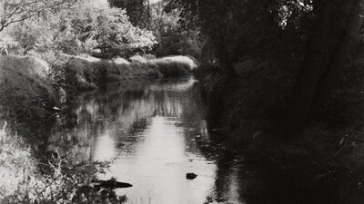 A black and white photo of a stream heavily shaded by trees