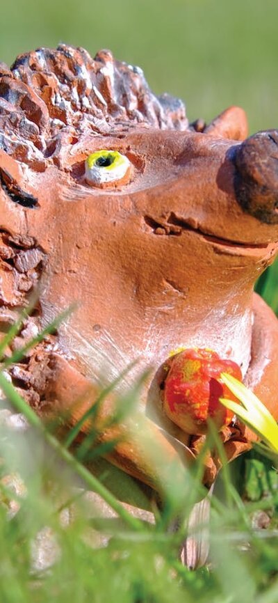 Elena Bozhko-Marshall - Hedgehog Ceramic Hedgehog in a field