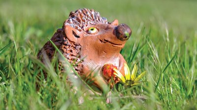 Elena Bozhko-Marshall - Hedgehog Ceramic Hedgehog in a field