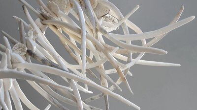 An artwork of ceramic objects assembled together to look like bones