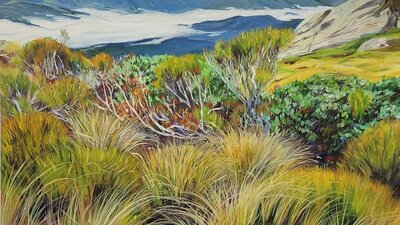 Emotive Landscapes by New Zealand Artist Alicja Gear