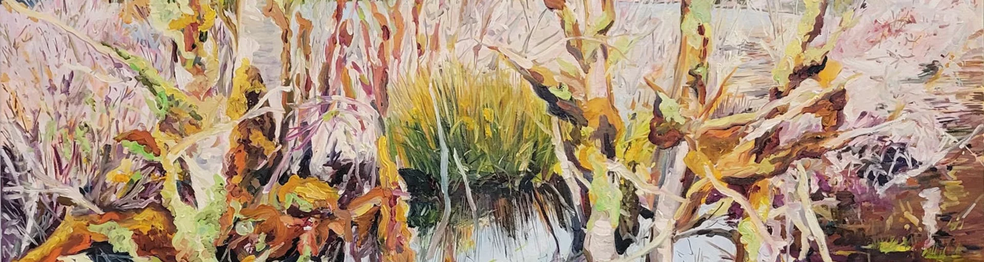Emotive Landscapes – 3 Day Workshop with Alicja Gear in Canberra