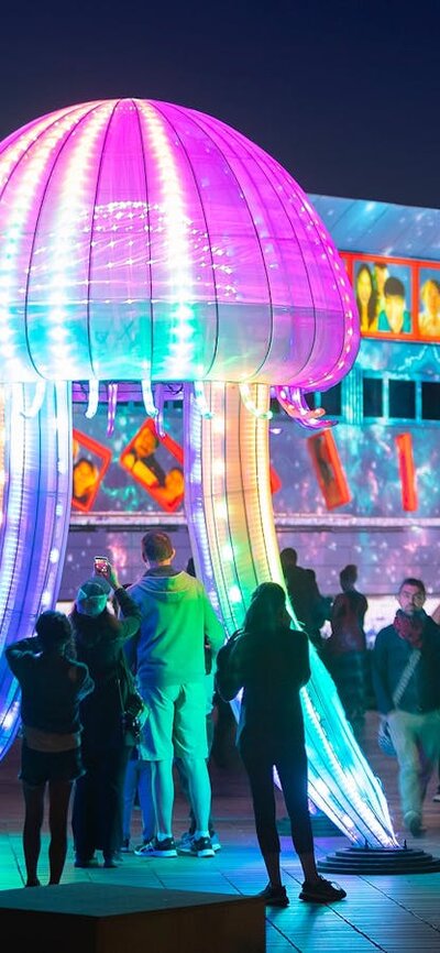 Jellyfish illuminated