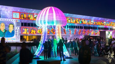 Jellyfish illuminated