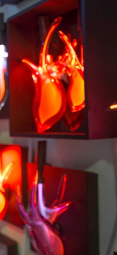 Harriet Schwarzrock neon filled blown glass