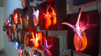 Harriet Schwarzrock neon filled blown glass