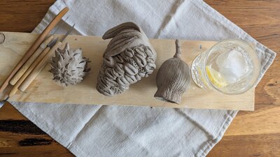 Art workshop samples. Ceramic seed pods with a gin and tonic