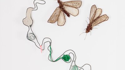 Woven insects and abstract shapes made from natural materials