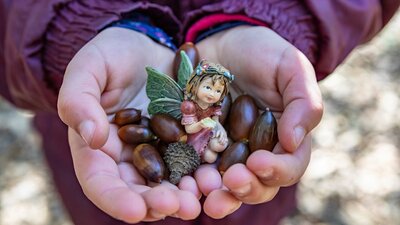 childs cup hands holding acorns and a fairy