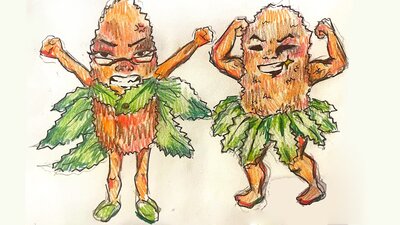 Two May Gibbs inspired Banksia Men