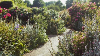 Five Seasons: The Gardens of Piet Oudolf (2017) Still of a beautiful garden