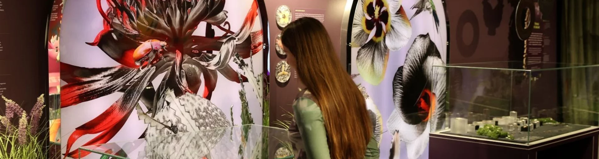 Floral Impressions Exhibition at the Mint in Canberra