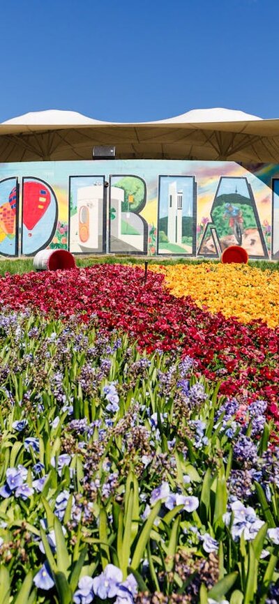 Floriade blooms in front of the iconic 'Floriade' mural