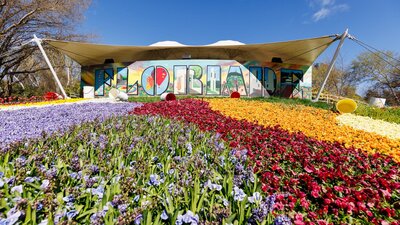 Floriade blooms in front of the iconic 'Floriade' mural