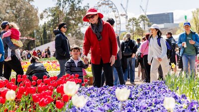 Woman and child looking at the beautiful Floriade blooms