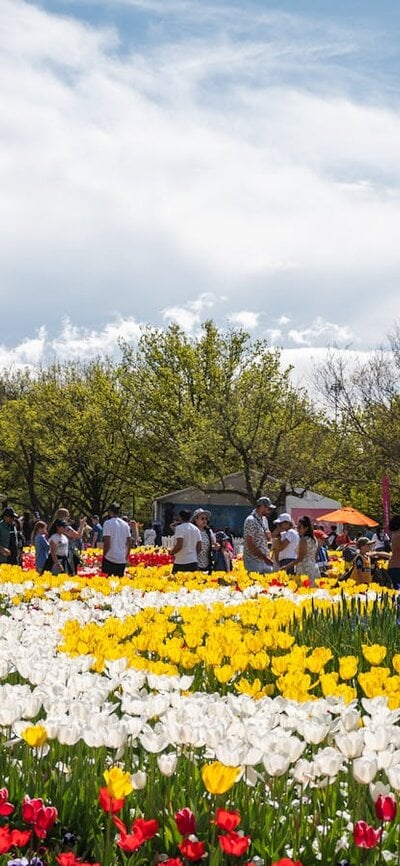 Floriade