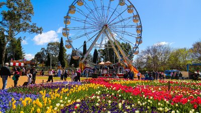photo of a ferris wheel with people walking past and flowers in front