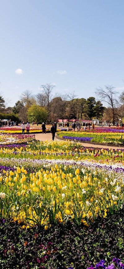 Colourful patterned flower beds with visitors walking among displays at a sunny flower festival.