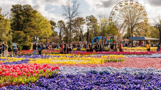 Colourful flower festival with crowds and a Ferris wheel among trees under a bright sky.