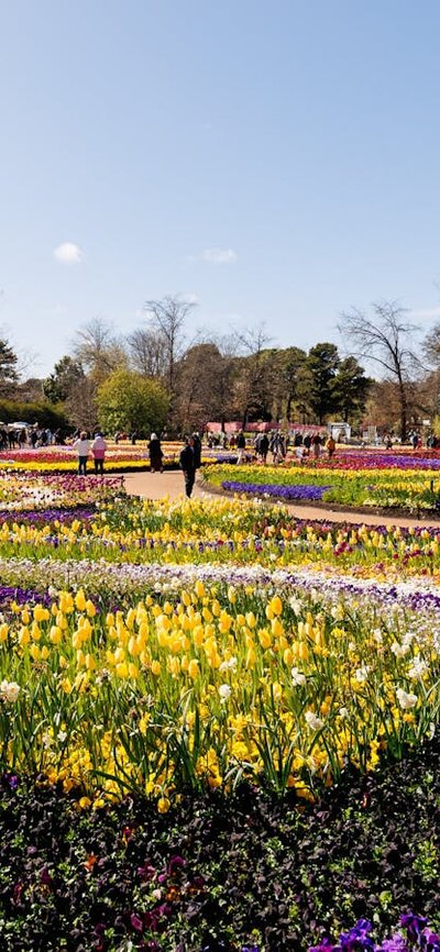 Colourful patterned flower beds with visitors walking among displays at a sunny flower festival.