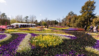 Colourful patterned flower beds with visitors walking among displays at a sunny flower festival.