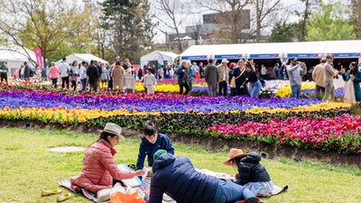Family picnicking on grass with colourful flower beds and crowds at a flower festival.