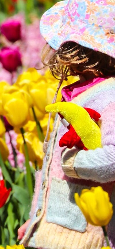 Child wearing a hat walking among colourful tulip beds in a bright, sunny flower display.