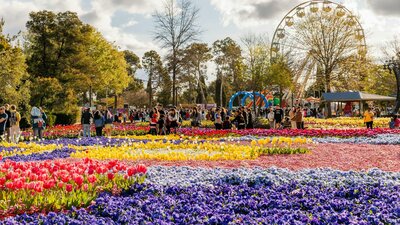 Colourful flower festival with crowds and a Ferris wheel among trees under a bright sky.