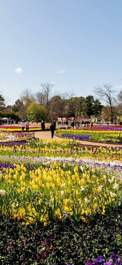 Colourful patterned flower beds with visitors walking among displays at a sunny flower festival.