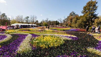 Colourful patterned flower beds with visitors walking among displays at a sunny flower festival.