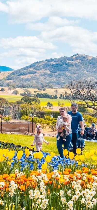 Visitors wander the gardens at Lanyon Homestead